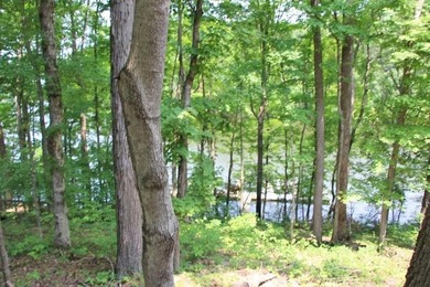 BEST PRICED LAKE FRONT & LAKEVIEW LOT WITH A BOAT SLIP APPROVED - photo 8
