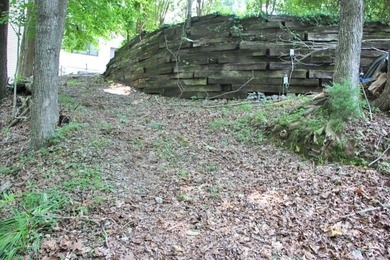 BEST PRICED LAKE FRONT & LAKEVIEW LOT WITH A BOAT SLIP APPROVED - photo 9