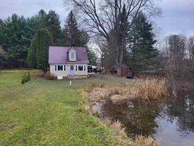 Lake Lure  Home For Sale in Evart Michigan