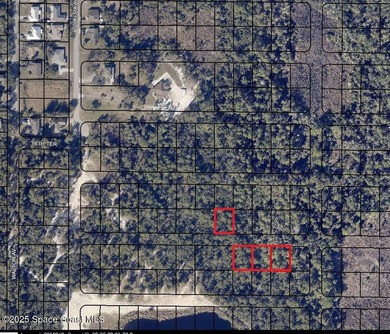 Five wooded lots in natural condition-3 contiguous + 2 - photo 1