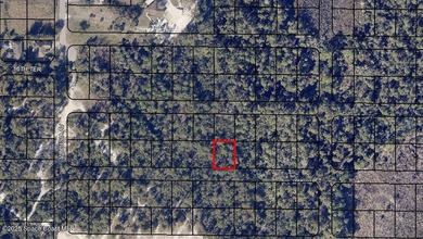 Five wooded lots in natural condition-3 contiguous + 2 - photo 2