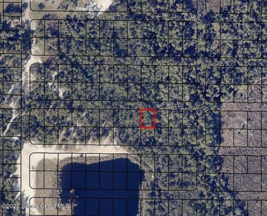Five wooded lots in natural condition-3 contiguous + 2 - photo 3