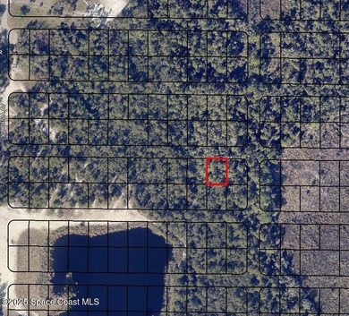 Five wooded lots in natural condition-3 contiguous + 2 - photo 5