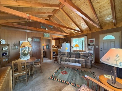 Erwin Lake Home For Sale in Big Bear City California