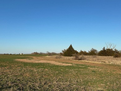 51+/- Acres | Pond Creek Area, Grant County, Oklahoma Productive - photo 4