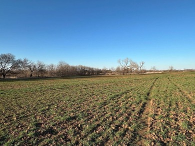51+/- Acres | Pond Creek Area, Grant County, Oklahoma Productive - photo 8
