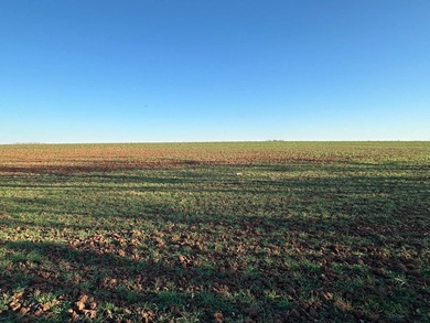 51+/- Acres | Pond Creek Area, Grant County, Oklahoma Productive - photo 10