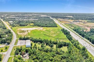 For Sale - 31.78 AC Commercial/Industrial, Willis TX Prime 31 - photo 4