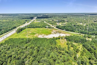 For Sale - 31.78 AC Commercial/Industrial, Willis TX Prime 31 - photo 6