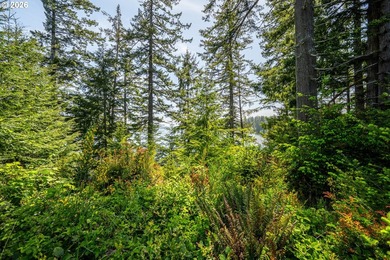 Rare Lakefront Opportunity on Siltcoos Lake - 10.28 Acres - photo 15