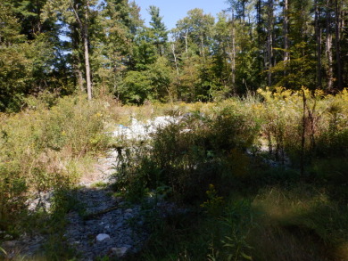 23 acres of nicely wooded and open land near Lake Hortonia - photo 10