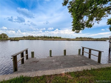 This lovely waterfront, remodeled, fully furnished, end unit - photo 36