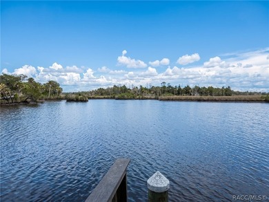 This lovely waterfront, remodeled, fully furnished, end unit - photo 38