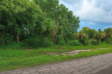 Lehigh Acres Area Lot For Sale in Lehigh Acres Florida