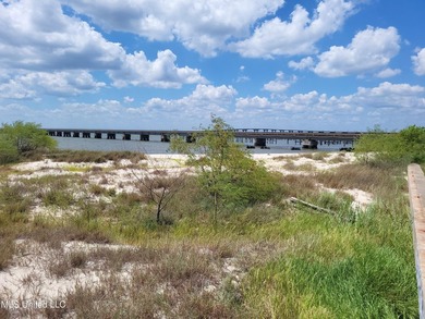 PROPERTY IS DIRECTLY CONNECTED TO OVER 750 FEET OF SAND BEACH - photo 5