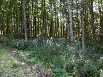 23 acres of nicely wooded and open land near Lake Hortonia - photo 8