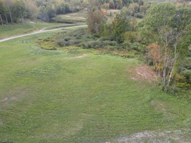 Lake Lot For Sale in Junior, West Virginia
