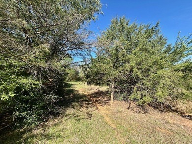 9.052 Acres - Open Pasture, Pond, and Barn - $135,000 Excellent - photo 13