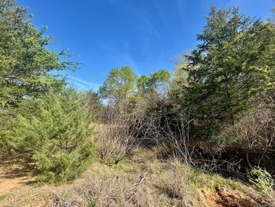9.052 Acres - Open Pasture, Pond, and Barn - $135,000 Excellent - photo 14