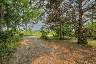 Experience the best of all worlds in this beautifully updated - photo 2