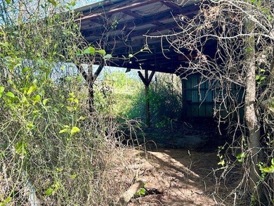 9.052 Acres - Open Pasture, Pond, and Barn - $135,000 Excellent - photo 22