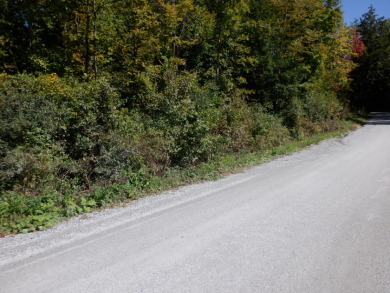 23 acres of nicely wooded and open land near Lake Hortonia - photo 7