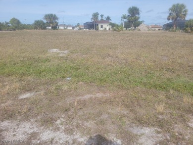 Lake Lot For Sale in Cape Coral, Florida