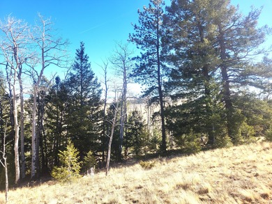 (private lake, pond, creek) Acreage For Sale in Hartsel Colorado