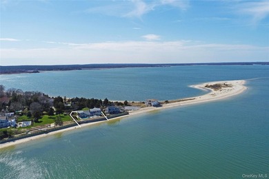 Recently expanded and renovated with a fresh, modern coastal - photo 2