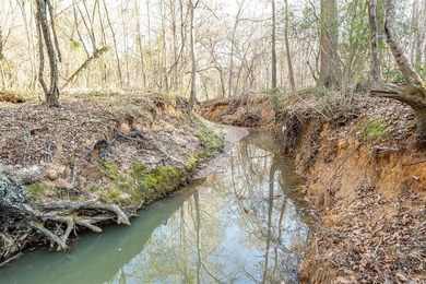 (private lake, pond, coastal) Acreage For Sale in Marshall Texas