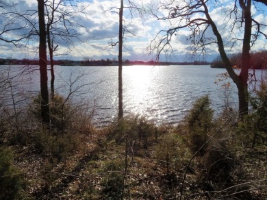 All Sports Lake Templene, Sunset View - Lake Lot For Sale in Sturgis, Michigan