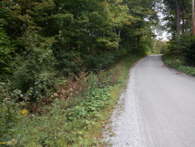 23 acres of nicely wooded and open land near Lake Hortonia - photo 5