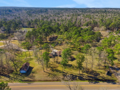 Lake Livingston Area Retreat on 2.4 Acres - photo 9