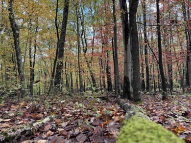 Alpine Lake Lot For Sale in Terra Alta West Virginia