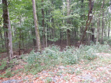 23 acres of nicely wooded and open land near Lake Hortonia - photo 4