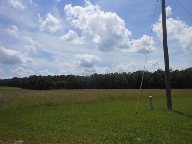 THIS IS THE SOUTH AND SOUTHWEST PORTION OF A 70 ACRE TRACT. IT - photo 1