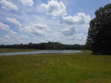 THIS IS THE SOUTH AND SOUTHWEST PORTION OF A 70 ACRE TRACT. IT - photo 4