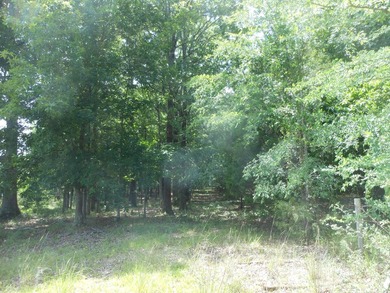THIS IS THE SOUTH AND SOUTHWEST PORTION OF A 70 ACRE TRACT. IT - photo 5