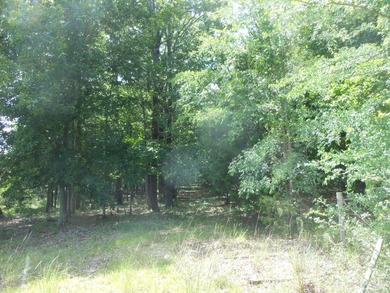 THIS IS THE SOUTH AND SOUTHWEST PORTION OF A 70 ACRE TRACT. IT - photo 6