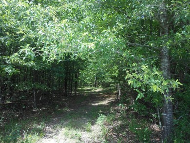 THIS IS THE SOUTH AND SOUTHWEST PORTION OF A 70 ACRE TRACT. IT - photo 7