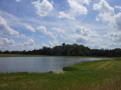 THIS IS THE SOUTH AND SOUTHWEST PORTION OF A 70 ACRE TRACT. IT - photo 8