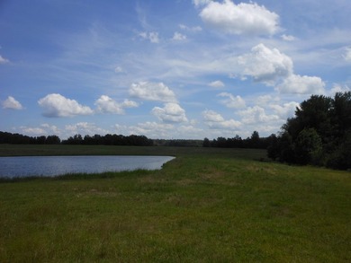 THIS IS THE SOUTH AND SOUTHWEST PORTION OF A 70 ACRE TRACT. IT - photo 9