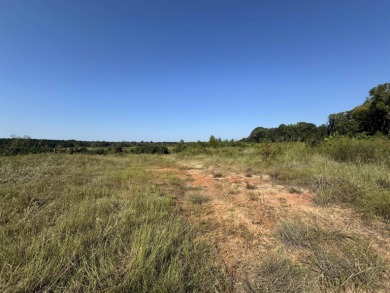 Lake Sam Rayburn  Acreage For Sale in Brookeland Texas