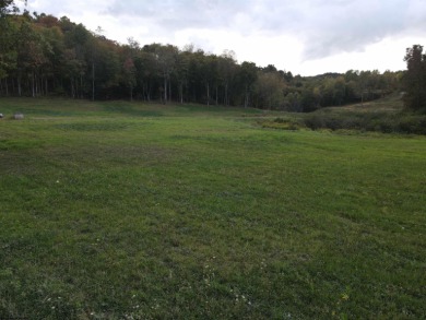 Lake Lot For Sale in Junior, West Virginia