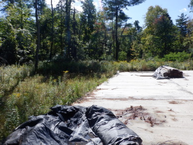 23 acres of nicely wooded and open land near Lake Hortonia - photo 13