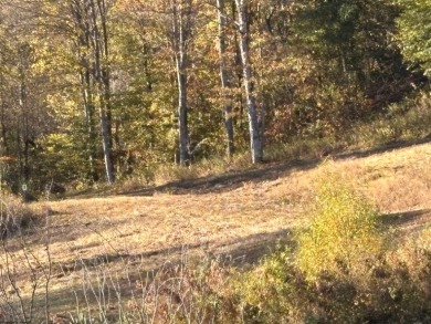 Lake Acreage For Sale in Junior, West Virginia