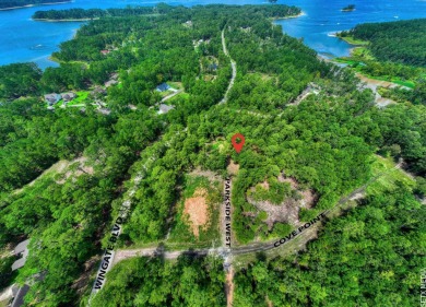 Lake Sam Rayburn  Lot For Sale in Brookeland Texas