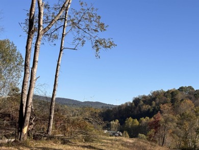 Lake Lot For Sale in Junior, West Virginia