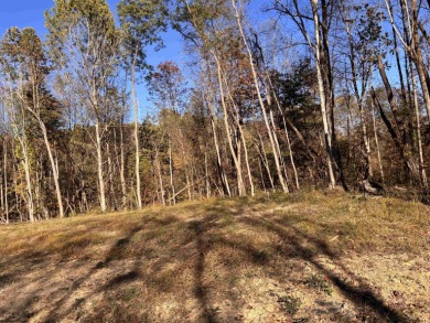 Lake Lot For Sale in Junior, West Virginia