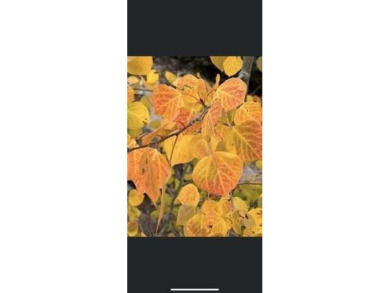 Mirror Lake Lot For Sale in Beaver Utah